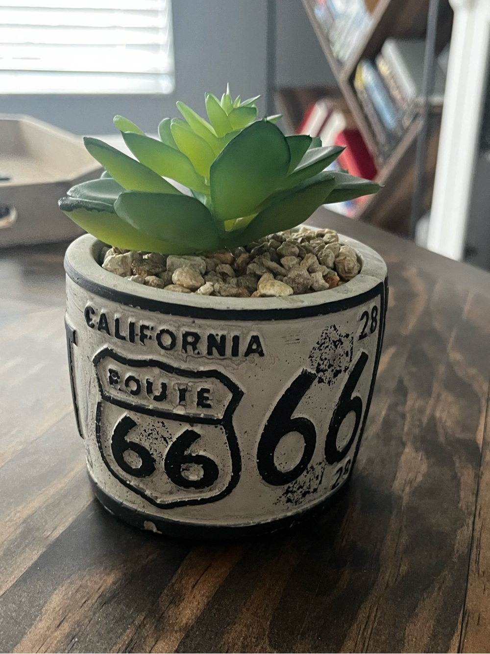 Route 66 California FAUX Succulent Planter - Green Succulent